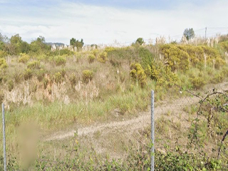 Barniella-Granda.Polígono 99 Parcela 8