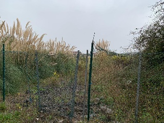 De la Torre-Tremañes 7