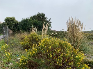 De la Torre-Tremañes 8