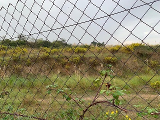 De la Torre-Tremañes 10