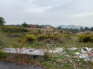 De la Torre-Tremañes 11