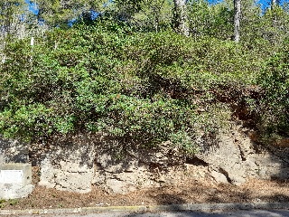 Olesa De Bonesvalls 5