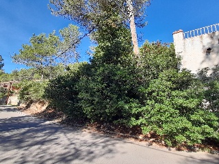 Olesa De Bonesvalls 8