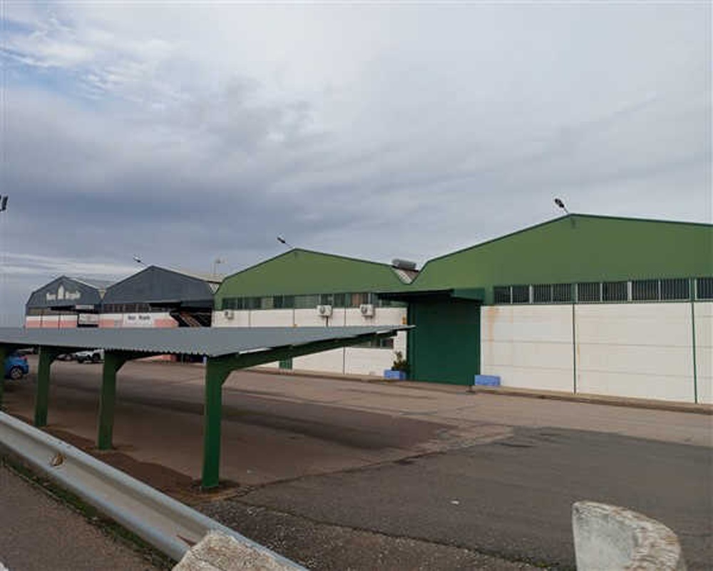 Nave industrial en Polígono 25 9017, Carrión de Calatrava (Ciudad Real)