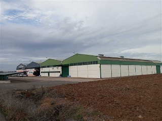 Nave industrial en Polígono 25 9017, Carrión de Calatrava (Ciudad Real) 4