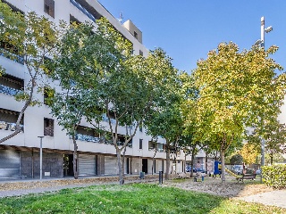 Complejo Residencial Els Gladiols Dels Elisis 23