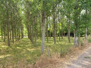 Suelos en Castejón de Sos ,Huesca 8