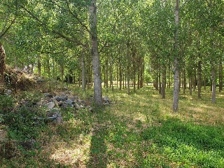 Suelos en Castejón de Sos ,Huesca 9