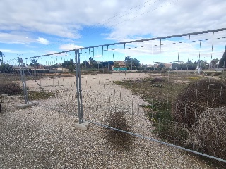 Suelo situado en Elche 3
