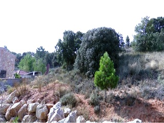 Suelo urbanizable en Pol Segundo Sector 6