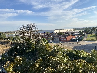 Finca la Torre 19