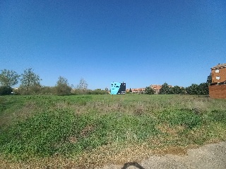 Reino de león 9