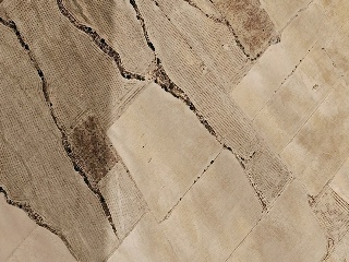 Suelos rústicos en  Pz del Ardal, Jumilla (Murcia) 11