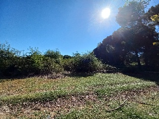 Suelo en Simancas 14