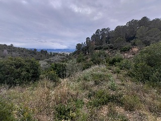 Cantalars, Pol.9, Parc. 123(A,B,C Y D) Y Parcela 233. Barranco De Montell 11
