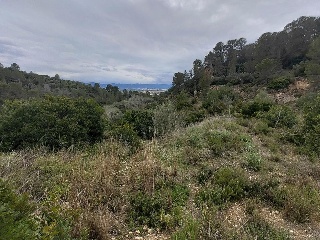 Cantalars, Pol.9, Parc. 123(A,B,C Y D) Y Parcela 233. Barranco De Montell 12