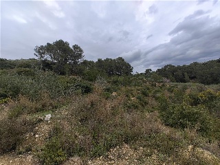 Cantalars, Pol.9, Parc. 123(A,B,C Y D) Y Parcela 233. Barranco De Montell 13
