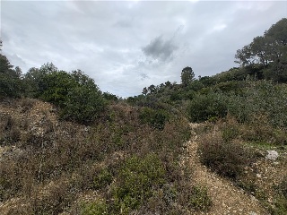 Cantalars, Pol.9, Parc. 123(A,B,C Y D) Y Parcela 233. Barranco De Montell 14