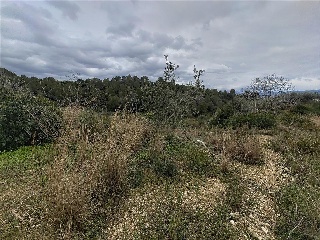 Cantalars, Pol.9, Parc. 123(A,B,C Y D) Y Parcela 233. Barranco De Montell 15