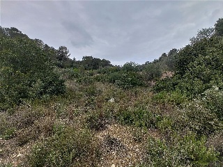 Cantalars, Pol.9, Parc. 123(A,B,C Y D) Y Parcela 233. Barranco De Montell 16