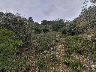 Cantalars, Pol.9, Parc. 123(A,B,C Y D) Y Parcela 233. Barranco De Montell 17