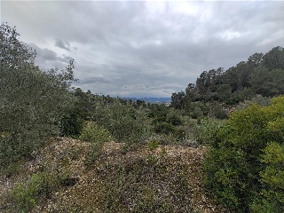 Cantalars, Pol.9, Parc. 123(A,B,C Y D) Y Parcela 233. Barranco De Montell 18