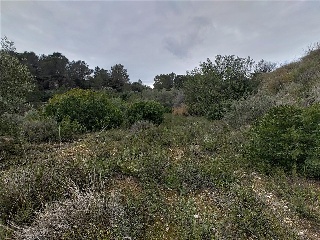 Cantalars, Pol.9, Parc. 123(A,B,C Y D) Y Parcela 233. Barranco De Montell 19