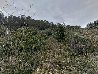 Cantalars, Pol.9, Parc. 123(A,B,C Y D) Y Parcela 233. Barranco De Montell 20