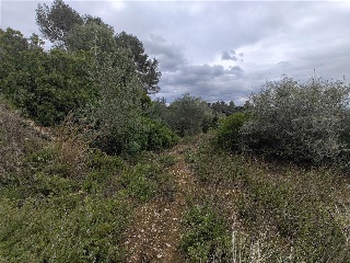 Cantalars, Pol.9, Parc. 123(A,B,C Y D) Y Parcela 233. Barranco De Montell 22