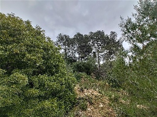 Cantalars, Pol.9, Parc. 123(A,B,C Y D) Y Parcela 233. Barranco De Montell 23