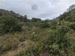Cantalars, Pol.9, Parc. 123(A,B,C Y D) Y Parcela 233. Barranco De Montell 25