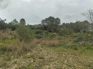 Cantalars, Pol.9, Parc. 123(A,B,C Y D) Y Parcela 233. Barranco De Montell 26