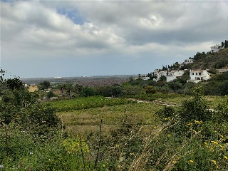 Montepego. Calle Claveles 11