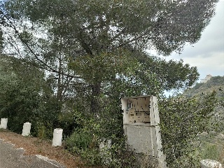 Montepego. Calle Claveles 18