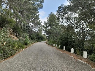 Montepego. Calle Claveles 21