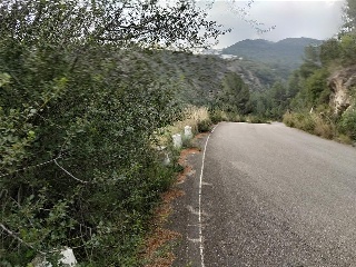 Montepego. Calle Claveles 22