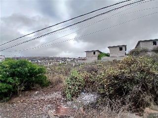 Agustin Millares Carlo 7