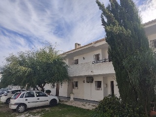 V Martin Palomos 3