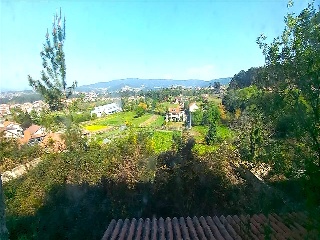 CASTRO . Polígono 26 Parcela 8