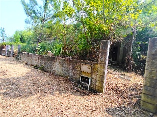 CASTRO . Polígono 26 Parcela 9