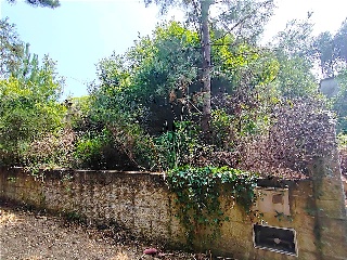 CASTRO . Polígono 26 Parcela 10