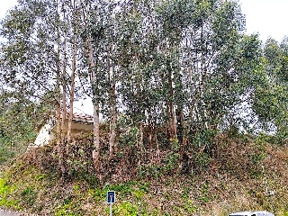 CASTRO . Polígono 26 Parcela 11