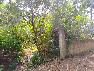 CASTRO . Polígono 26 Parcela 14