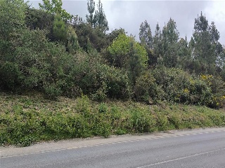 S16 GALDRACHAN. PARCELA AR18-1 11