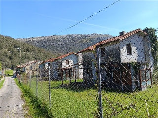 Ogarrio 20