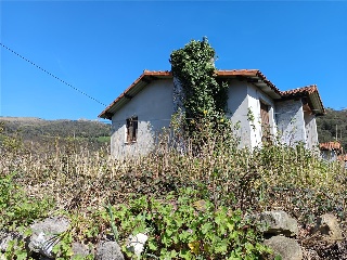 Ogarrio 22