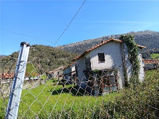 Ogarrio 24