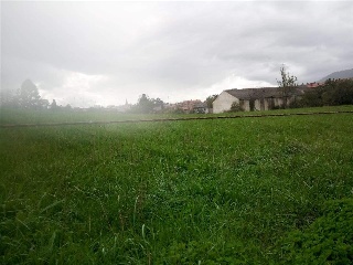 FRANCISCO ARGUELLES 13