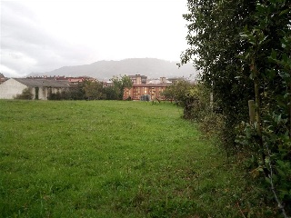 FRANCISCO ARGUELLES 14