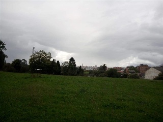 FRANCISCO ARGUELLES 15